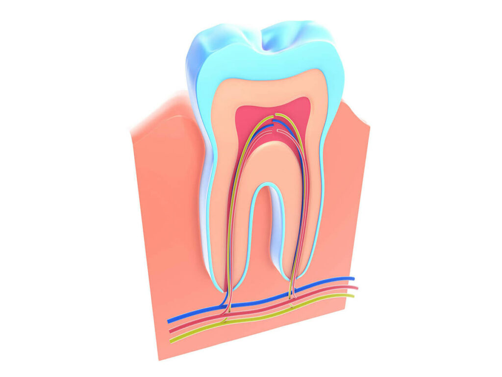 Root canal treatment in Daphne, AL at Eastern Shore Dental Associates
